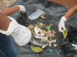 images_010